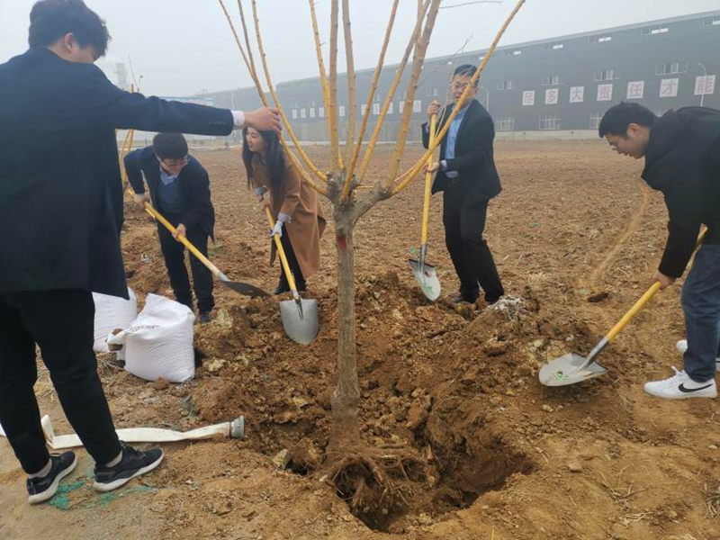 高邑植树-配图1.png
