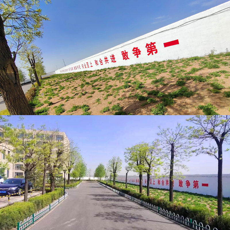 神木秀美-配图2.png