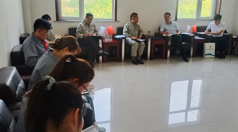 新型能源公司党史学习教育巡回指导组一行到鑫尔特公司进行督导检查图1.png