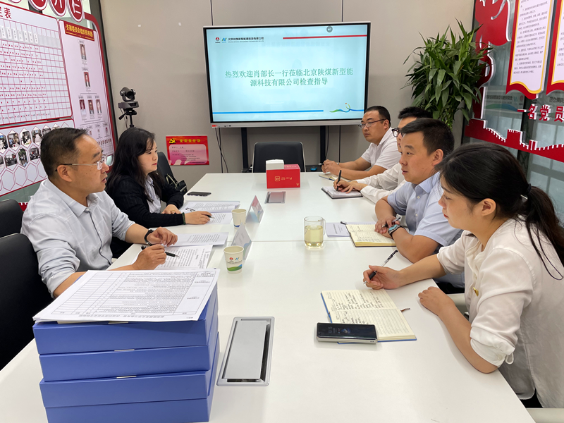新型能源公司党史学习教育巡回指导二组到北京新能科技公司开展督导检查1.png