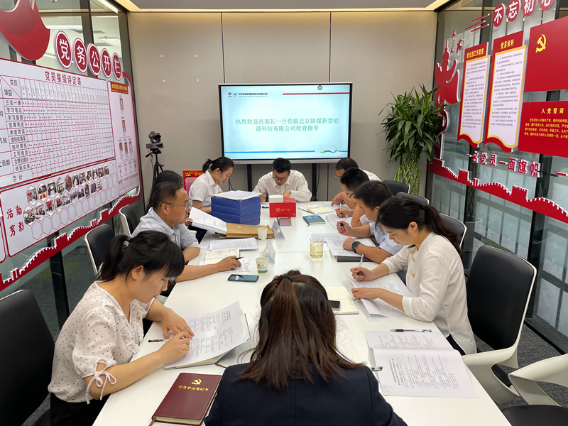 新型能源公司党史学习教育巡回指导二组到北京新能科技公司开展督导检查2.png