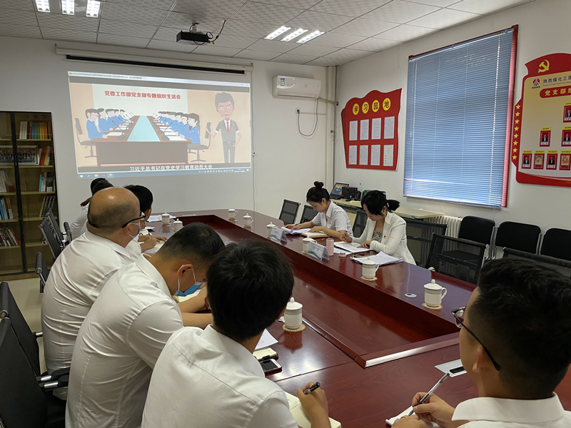 三原公司党支部党史专题组织生活会召开-配图.png