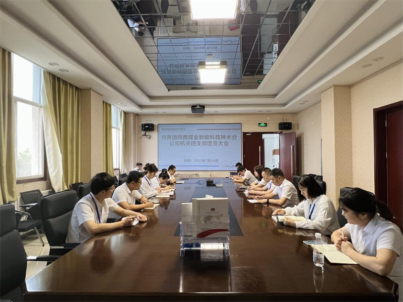 神木分公司机关团支部召开团员青年大会-1.png