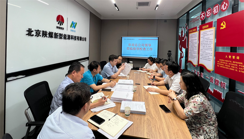新型能源公司联合检查组对北京公司进行综合检查-1.png