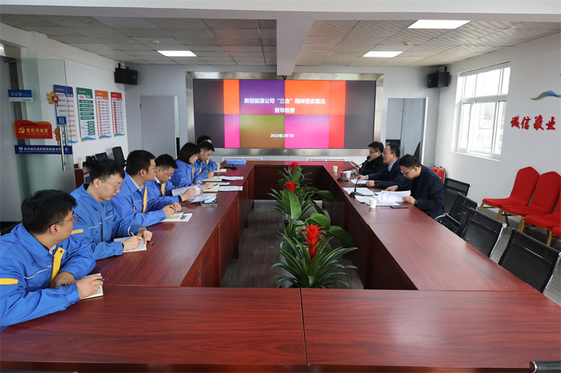 新型能源公司“三会”精神工作督导1.png