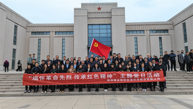 新型能源公司党委组织开展“缅怀革命先烈 传承红色精神”主题党日活动6.png