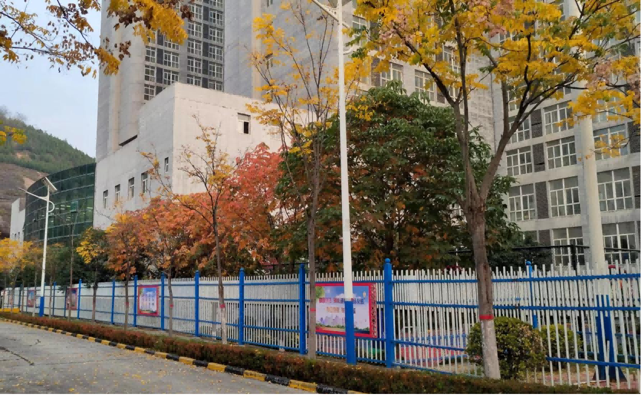 图片7.png