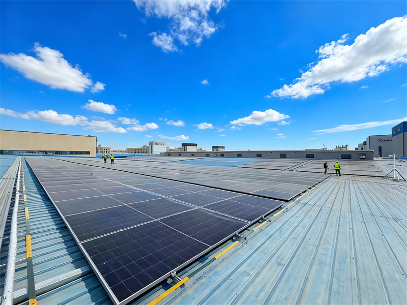 311761873533522501.png 图片45.png